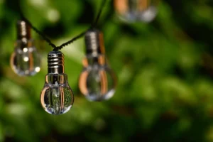 Nell'immagine delle lampadine